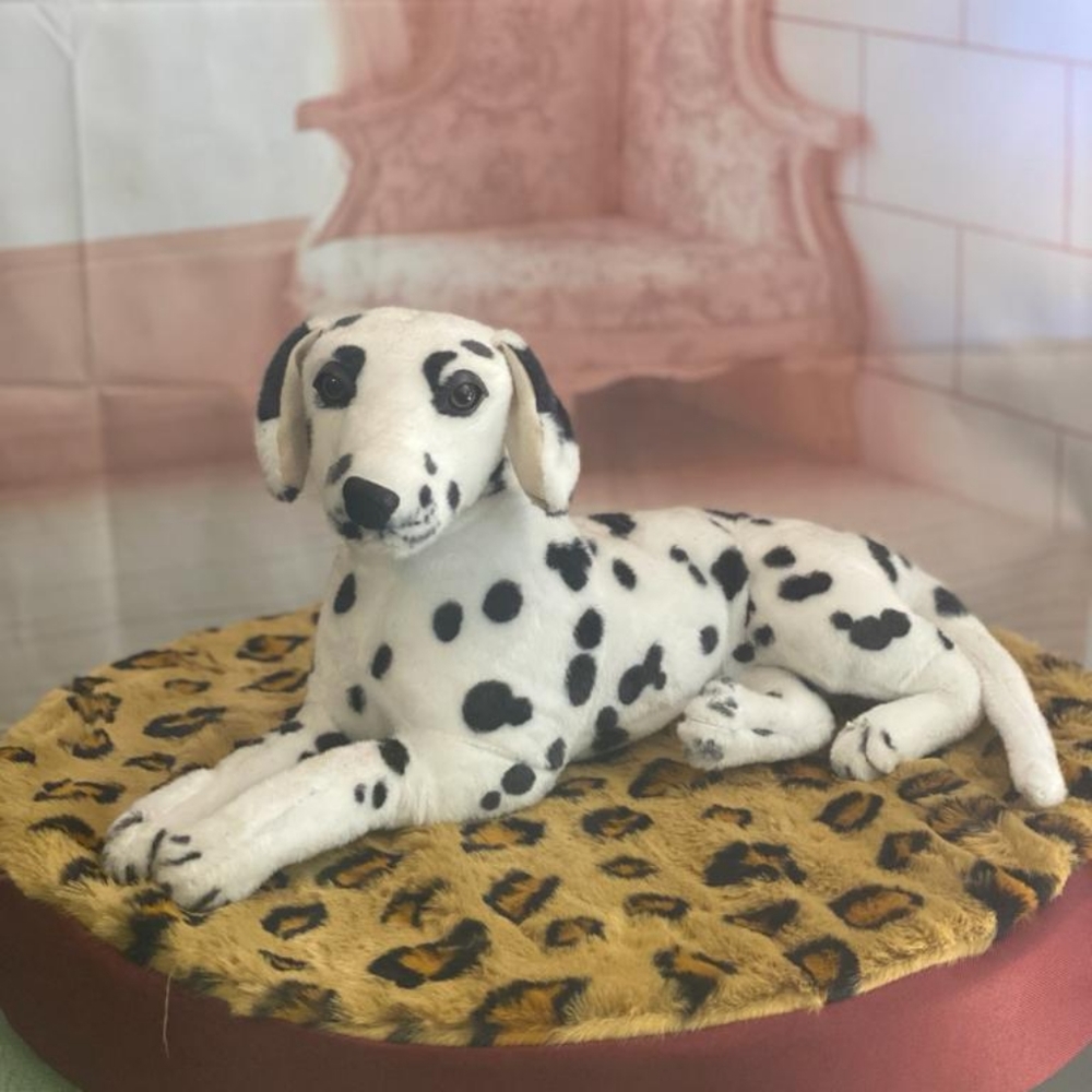 Dog's bed - Picture 2 of 4
